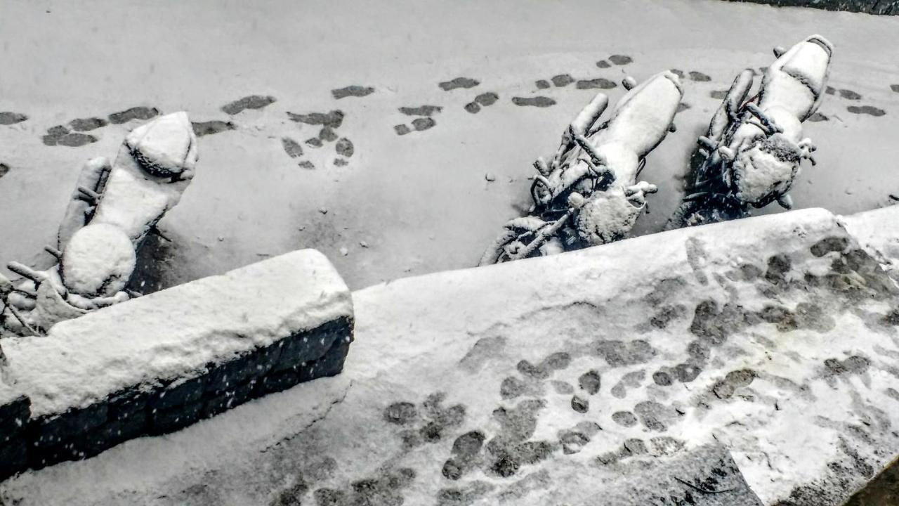 Antarctica & Hotel Manali (Himachal Pradesh)